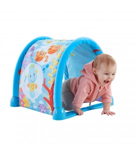 Fisher Price Seahorse baby gym
