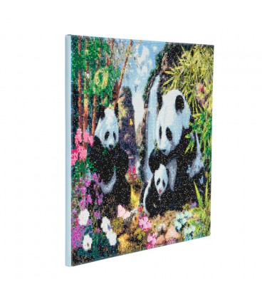 Crystal art panda met fram 40 x50 cm