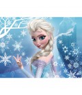 Disney puzzel Frozen 12 16 20 24 stukjes