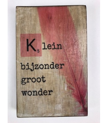 Tekstblok  Klein bijzonder groot wonder 10x15 meisje