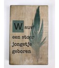 Tekstblok Wauw, een stoer jongetje geboren 10x15  jongen