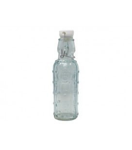 Fles m/stop 20cm cactus 250ml