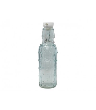 Fles m/stop 20cm cactus 250ml