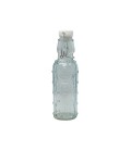 Fles m/stop 20cm cactus 250ml