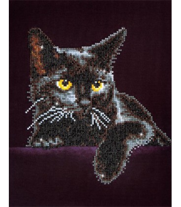 Midnight Cat Diamond Dotz: 28x36 cm