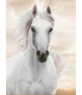 Imperial Stallion Diamond Dotz: 65x48 cm diamond painting