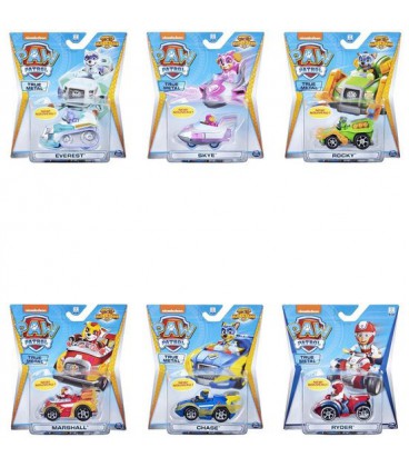 Paw patrol race true metal