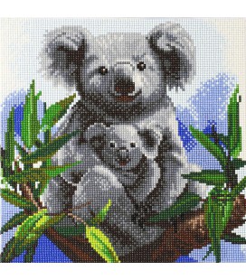 CRYSTAL ART KOALAS MET FRAME 30 X 30 CM