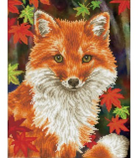 Diamond painting vos  / foxy diamond dotz 43 x 53 cm