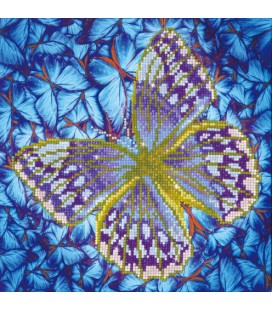 Vlinder diamond painting Flutterby silver  diamond dotz 30 x30 cm