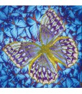 Vlinder diamond painting Flutterby silver  diamond dotz 30 x30 cm