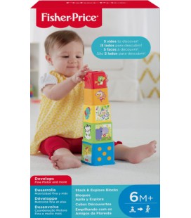 fisher price stapelblokken 6 +mnd