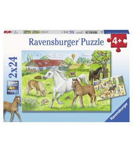 PUZZEL OP DE MANEGE 2X24 STUKS