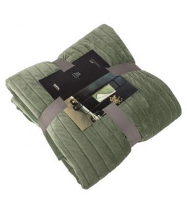 Gusta Plaid120x150 cm groen 1 stuk (lekker dik)