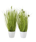 Boltze Home Plant in kunststof pot gras H44cm