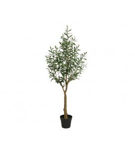 Olijfboom in pot fibre Ø78-H150cm groen
