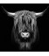 Glasschilderij 50x50cm Buffalo zwart-wit