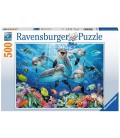 Ravensburger 500 stukjes Dolfijnen in het koraalrif