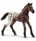 Appaloosa veulen Schleich (13862)