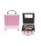 CASUELLE ALU MINI COSMETICA KOFFER VLINDER