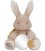 Little Dutch Newborn Naturals Activiteitenknuffel Baby Bunny