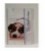 Kaart met hond