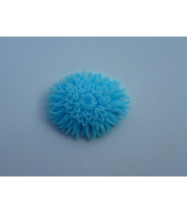 Blauw Chrysant