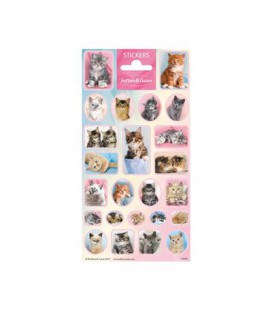 Stickers schattige katjes poes