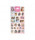 Stickers schattige katjes poes