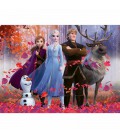 Frozen 2 schilderen op nummer