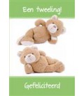Tweeling geboren